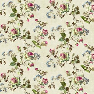 纸，背景，旧，多色，艺术，绘图