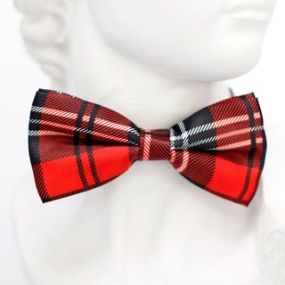 飞,领带,循环,时尚,男人,外形,假人 飞,领带,循环,时尚,男人,外形,假人