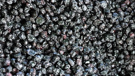 干果，越橘，食品