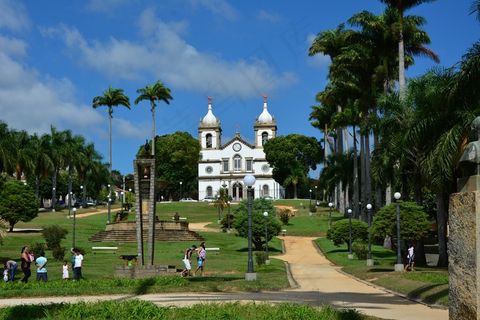 扫帚，旅行，室内，巴西，里约热内卢