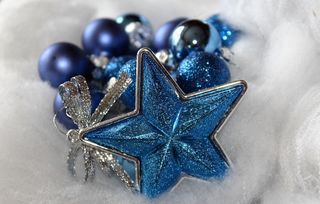 圣诞节，明星，装饰，背景，一品红