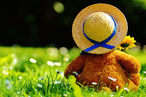 泰迪熊，熊，熊，毛绒动物，泰迪，可爱