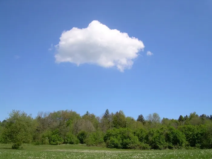 云，天空，夏天，田野，森林，树木