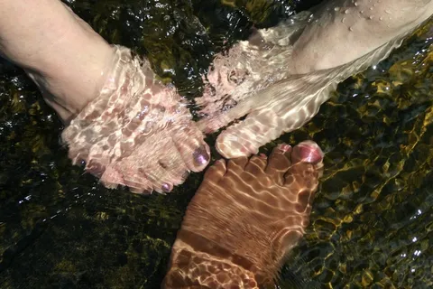 温泉鱼疗,手,虫子,温泉,手指,脚在水中 温泉鱼疗,手,虫子,温泉,手指,脚在水中