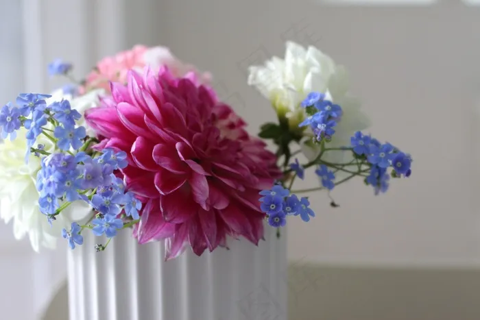 鲜花，花，内，玫瑰