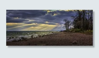 天空,风景,树,天空,,神在杜鲁斯上空发出光芒