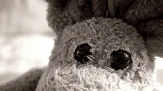 毛绒动物，眼睛，泰迪熊，玩具，毛绒玩具，动物