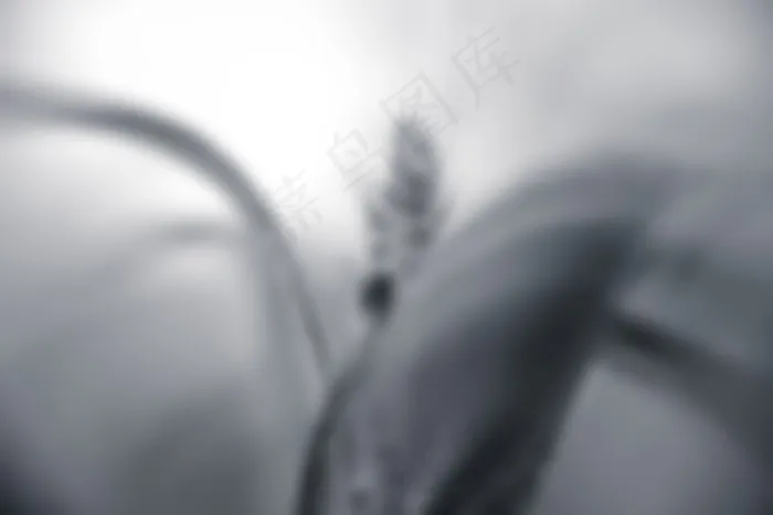 钉子,缝纫针,晒衣夹,螺丝钉,报纸杂志,黑色和白色抽象模糊模糊