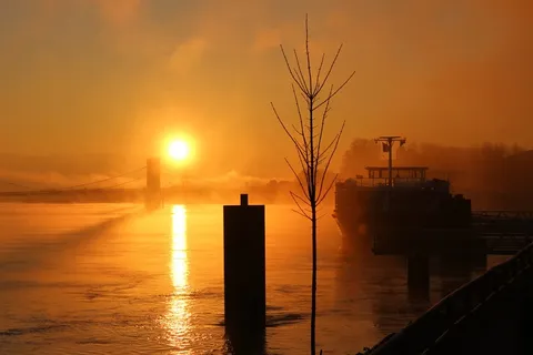 雾,心情,太阳,Morgenstimmung,罗纳,神秘 雾,心情,太阳,Morgenstimmung,罗纳,神秘