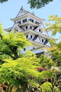 郡上八man,城堡,岐阜,鲜绿色,日本 郡上八man,城堡,岐阜,鲜绿色,日本