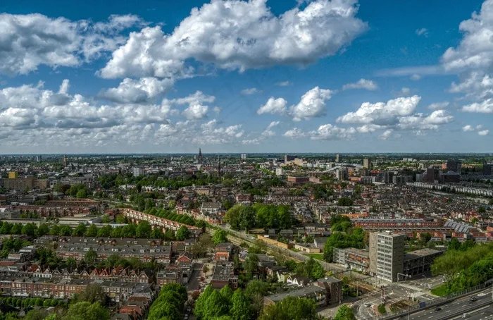 天空,风景,树,天空,花卉,城市天空多云天际线