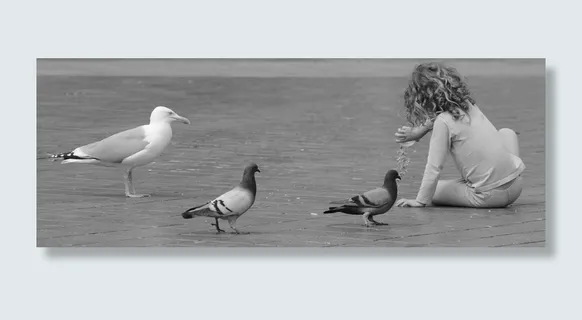 女孩，儿童，人，鸽子，饲料