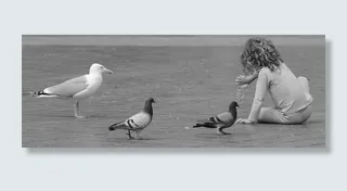 女孩，儿童，人，鸽子，饲料