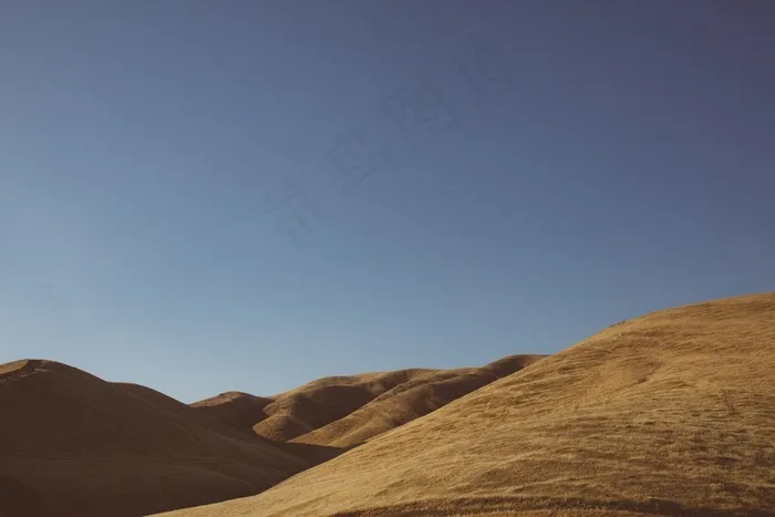 天空,沙漠,风景,自然/人文景观,树,天空阳光明媚蓝色沙漠