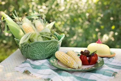 玉米,玉米棒子,食品,黄色,蔬菜,新鲜,玉米棒 玉米,玉米棒子,食品,黄色,蔬菜,新鲜,玉米棒