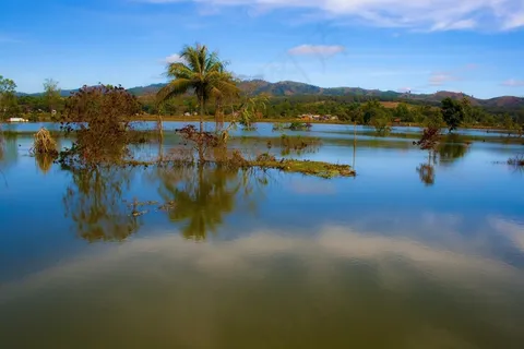 湖泊,水,树木,蓝色,天空,风景,风景名胜 湖泊,水,树木,蓝色,天空,风景,风景名胜