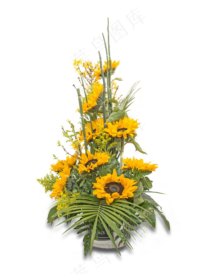 鲜花，花卉中心，植物，花束，黄色