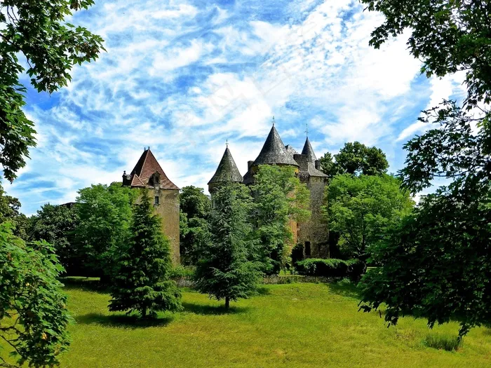 城堡，塔楼，中世纪，宫，文化遗产，堡垒