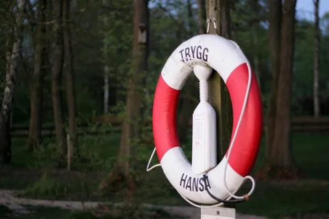 救生带，救援，不，保护，红色，水上救援