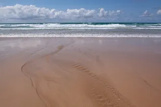 海岸，海滩，大海，水，天空，景观，自然