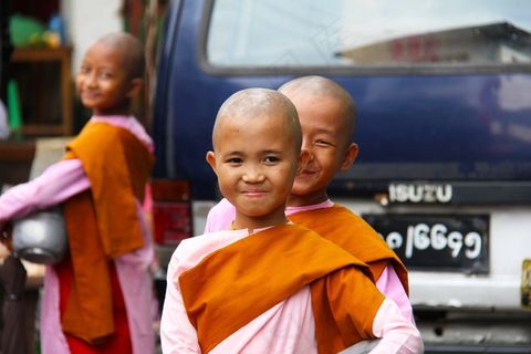 佛教，修女，女孩，年轻，人，缅甸，亚洲