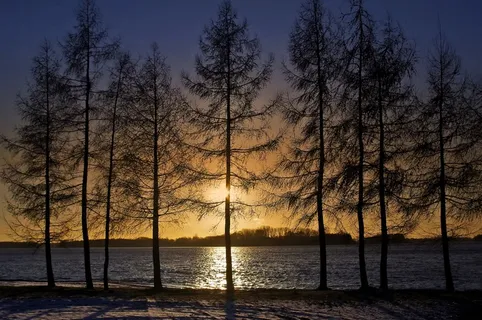 湖,树,性质,景观,水,波兰,风景 湖,树,性质,景观,水,波兰,风景