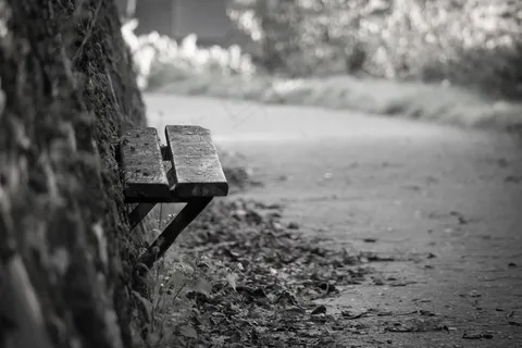 银行，坐下，休息，座位，恢复，点击，等待