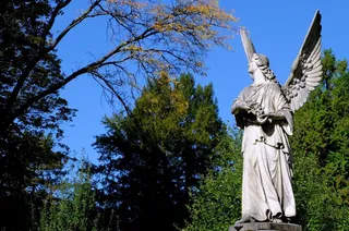 雕像,树,自然公园,纪念碑,寺塔,天使雕塑在晴朗的天空下的公园