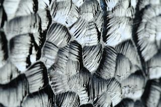 玻璃，纹理，图案，表面，灰色，闪亮，材料