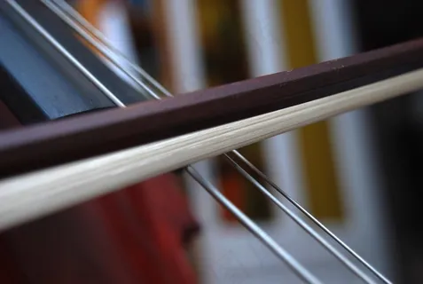 大提琴，弦乐，古典音乐，弓