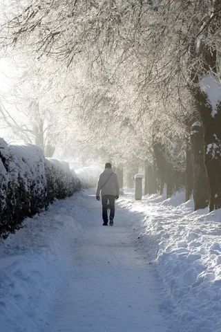 雪，冬冬季，离开，リボンとユーロ，人类，寒冬，步行，转到