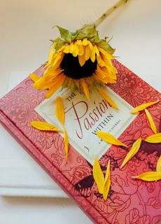 本书，已关闭的书，日记，日记，妇女，指南