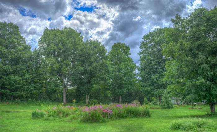 花园，风景，夏天，自然，绿色，草，公园
