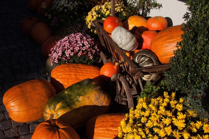 花卉装饰，鲜花，装饰品，美化