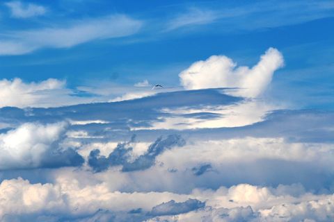 心情，天气心情，气氛，鸥，云，天空