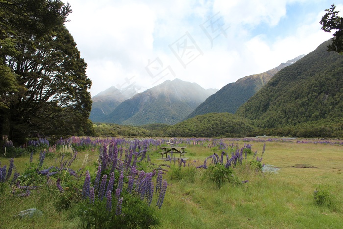 野餐，马克，鲜花，长凳，自然，野花