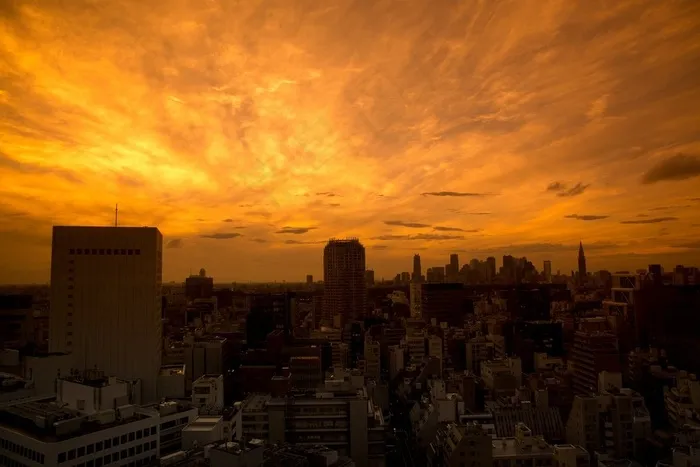 霞光,天空,树,都市夜景,卷积云,橙云