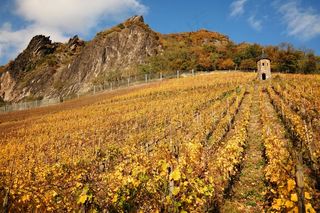 龙岩，葡萄园，Siebengebirge，秋季，塔