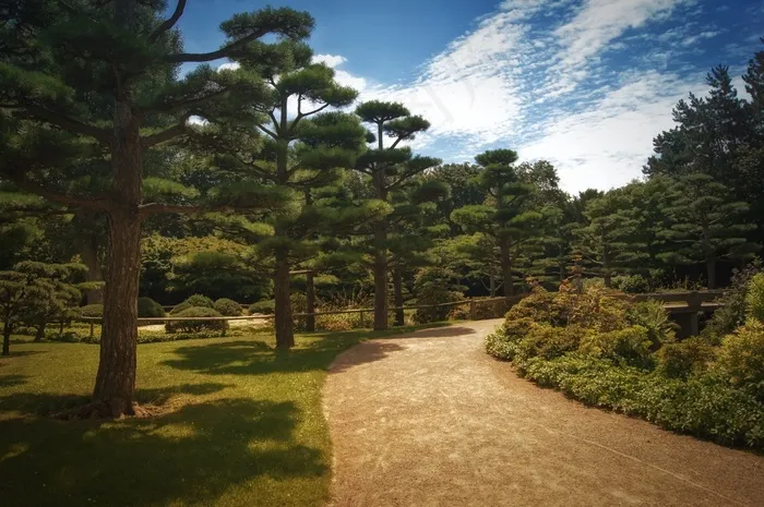 背景，日本花园，离，树木，天空，蓝色