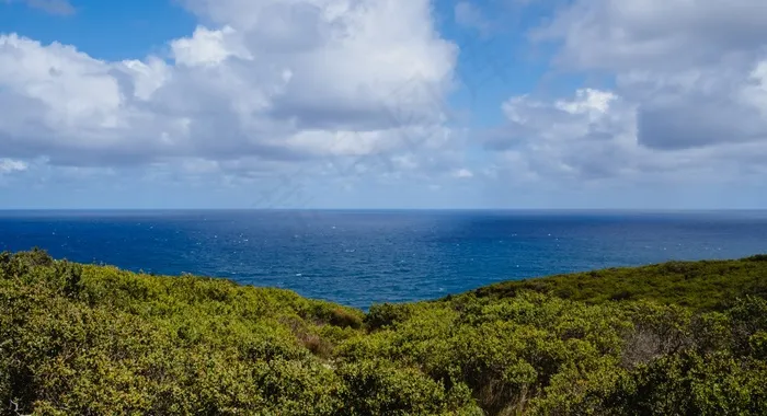 海岸，海岸，植被，海洋，大海，意见，夏天