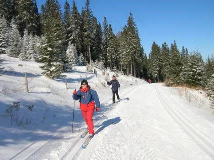 奥地利,Panoramaloipe,滑雪板,冬天,山脉,雪 奥地利,Panoramaloipe,滑雪板,冬天,山脉,雪
