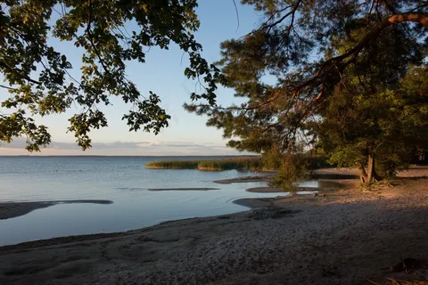 湖畔,暮光,Müritz,银行,景观,树木 湖畔,暮光,Müritz,银行,景观,树木