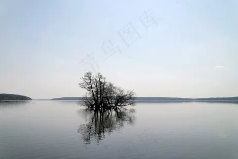湖,景观,水,树,天然水,镜像 湖,景观,水,树,天然水,镜像