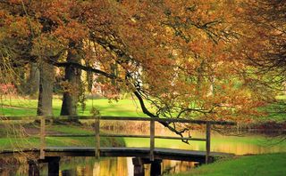 秋天的颜色，自然，秋天，风景