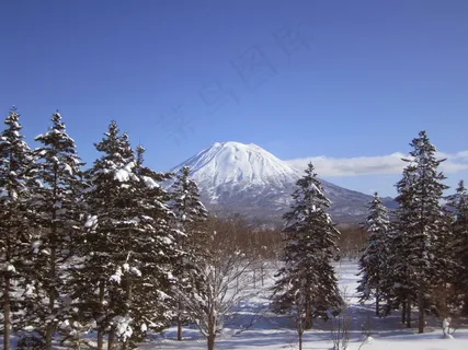 雪山,新雪谷,日本,滑雪,雪,单板滑雪 雪山,新雪谷,日本,滑雪,雪,单板滑雪