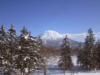 雪山，新雪谷，日本，滑雪，雪，单板滑雪