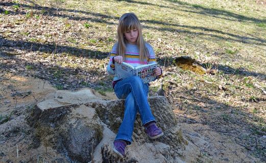 人的，儿童，女孩，金发，长长的头发，性质，本书