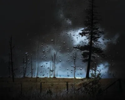 风雨如磐，风景，水滴，天空，天气，树木