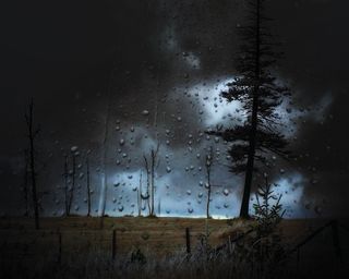 风雨如磐，风景，水滴，天空，天气，树木