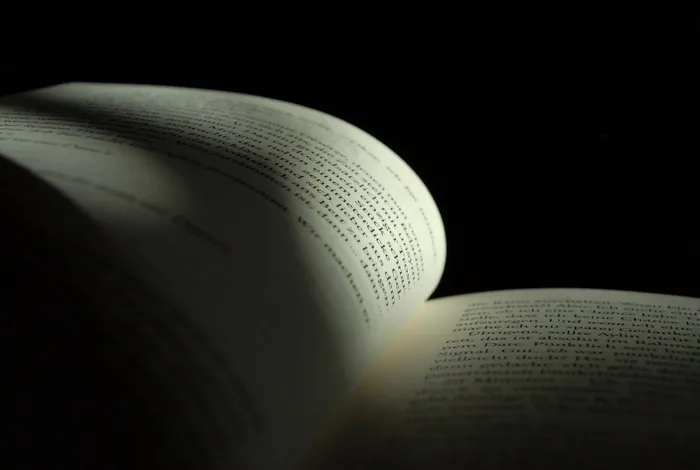 书本，页面，文字，阅读